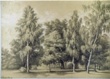 Bild Gemälde - C. Behncke - Parkbäume
