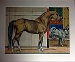 Bild Gemälde - Kay Nebel - Pferd vor dem Zirkusauftritt