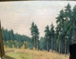 Bild Gemälde - Heinrich Ohlwein - Tannenwald und Waldwiese bei Kassel