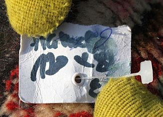 teppich13