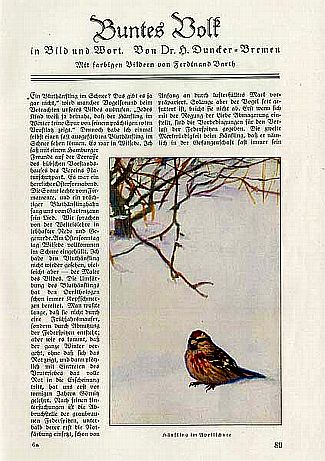 Bild Gemälde - Ferdinand Barth - winterlicher Bachlauf