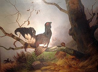 Bild Gemälde - Carl Friedrich Deiker - Birkhahn