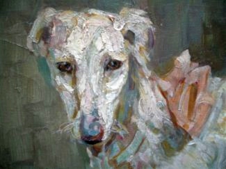 Detailansicht Russischer Windhund Barsoi Borzoi