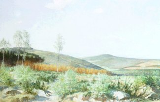 Bild Gemälde Carl Nebel Bei Fulda Rhönlandschaft