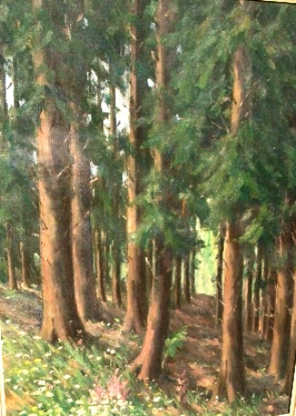 Bild Gemälde - Heinrich Ohlwein - Tannenwald bei Kassel