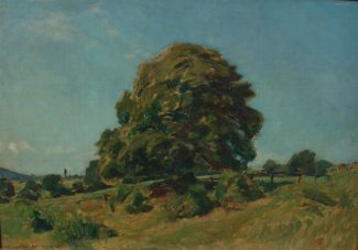 Bild Gemälde - Willy Ter Hell - Großer Baum bei Hofgeismar