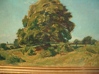 Bild Gemälde - Willy Ter Hell - Großer Baum bei Hofgeismar